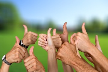 Group of people hands showing thumbs up