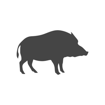 Silhouette of the wild boar icon or logo