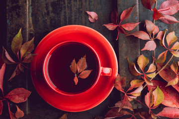 Autumn background with cup of tea and red leaves on dark background. Top view, copy space