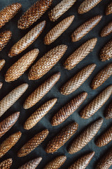 Spruce cones on a dark background. 