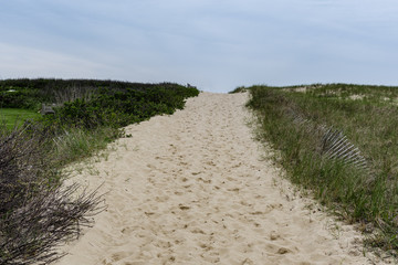 Beach path through the grass on a gray day