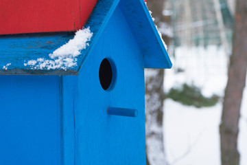 Multi-colored birdhouses in the trees in the city Park. Winter.