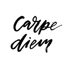 Carpe diem Calligraphy Lettering Black Brush ink Phrase