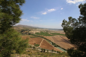 Arrozales de Calasparra, Murcia, España