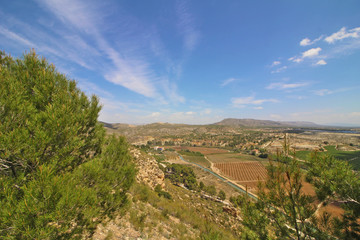 Arrozales de Calasparra, Murcia, Espa&ntilde;a