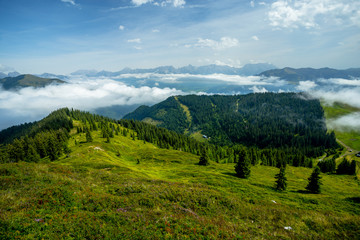 A Long View of the Alpine Meadows and the Valley in the Light Inverse Cloud