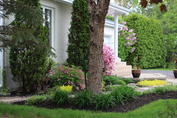 Obraz premium układ krajobrazu