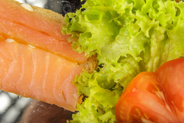 Dish of sandwiches with red fish tomato and greens.