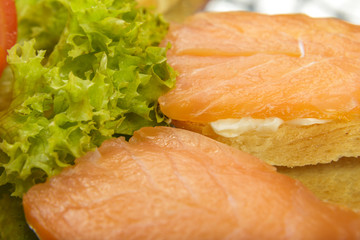 Dish of sandwiches with red fish tomato and greens.