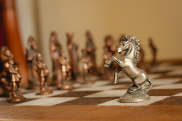 horse on chess board