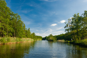 Fototapeta na wymiar Calm River surrounded by Trees and a Forest on a sunny Summer day in the Federal State of Brandenburg, Germany