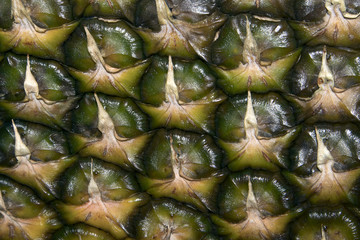 Fototapeta premium Colored fresh ripe pineapple peel texture closeup, may be used as background