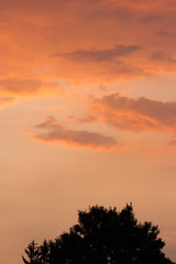 Fototapeta na wymiar red sky at sunset background