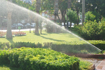 Automated watering system in the Park