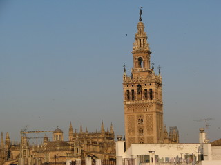 Fototapeta premium tower