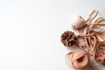 Spruce cones and untangled tangle on white desk