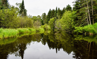 Obraz premium River Reflection