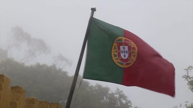 Waving Portuguese Flag on cloudy background with trees