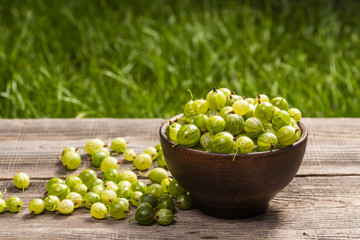 fresh homemade gooseberries in a plate on a table in the garden