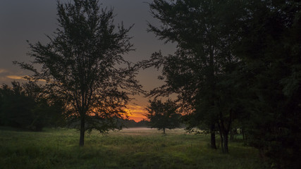 Fototapeta na wymiar Daybreak in the country, mist or fog with trees and meadow