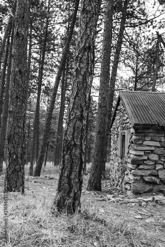 Cabin In The Woods Stock Photo And Royalty Free Images On Fotolia
