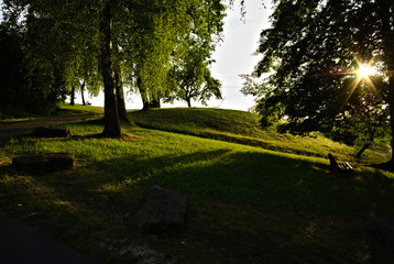 Wonderful place to relax under some trees