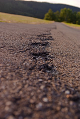marks in the asphalt of a small rural road