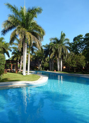 Fototapeta na wymiar Pool landscape at a Caribbean tropical resort.