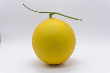 Yellow honeydew melon  isolated on white background