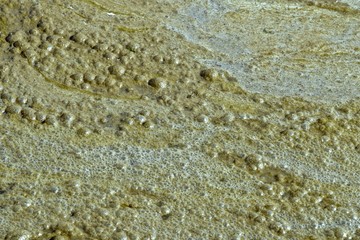 Fototapeta na wymiar texture bubbles water shoreline river pond scum