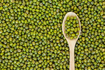 mung bean green in spoon texture