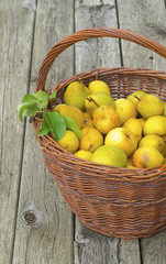 Pears