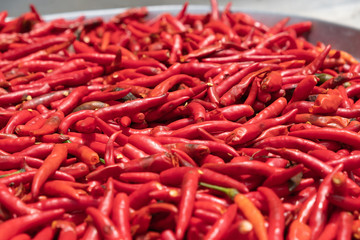 red dried chilli