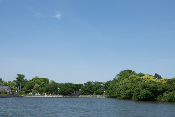 Fototapeta premium 東京 水元公園 春 新緑と青空