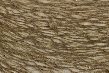 texture river water tight weave natural shoreline scum darker