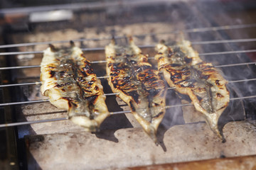 Shirayaki, Japanese grilled eel 