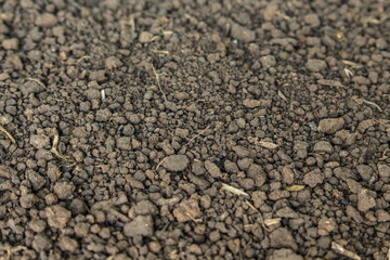 soil ground texture plant background
