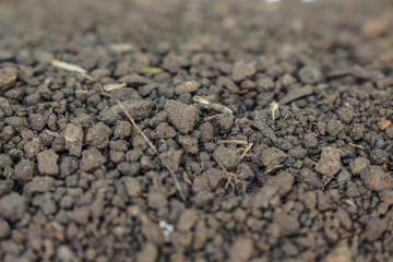soil ground texture plant background