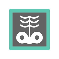 x-ray film of rib and hip bone, medical and hospital related flat design icon set