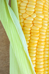 corn on the cob, husk organic food nature background