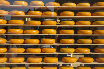Famous Dutch cheese on the shelves in the store window