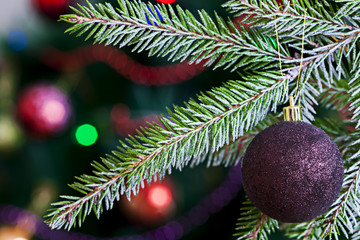 Christmas toy on Christmas tree