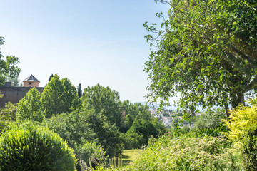 Spain, Granada, TREES AND PLANTS GROWING IN BUILDING AGAINST CLEAR SKY