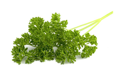parsley isolated on a white background