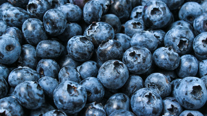 A lot of blueberries, background of berries, top view.