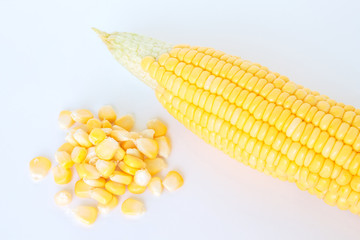 corn organic food nature on white background