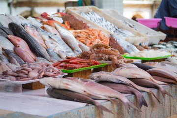 A counter with fresh sea food on the fish market in Essaouira. Morocco, Africa