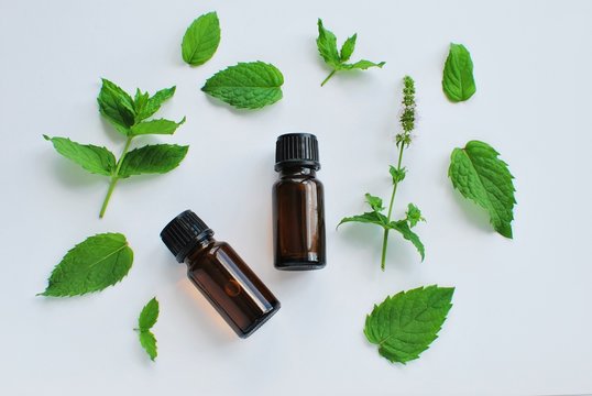 Essential oil of peppermint in brown bottles and fresh peppermint leaves on white background, flat lay.