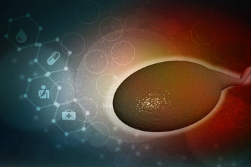 3d illustration showing sperms and egg
