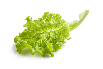 Fresh lettuce leaf, isolated on white background